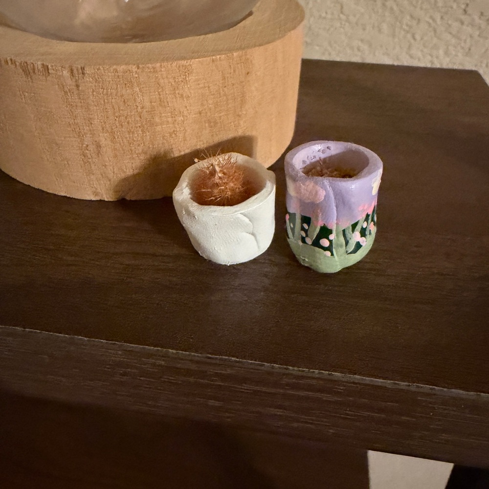 Very tiny / super mini planters. - Picture 2 of 2